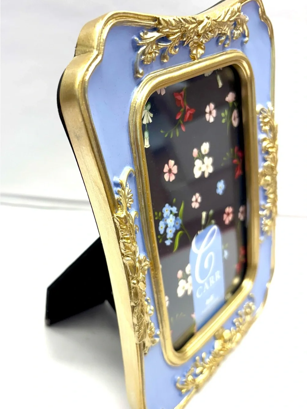 Carr picture frame